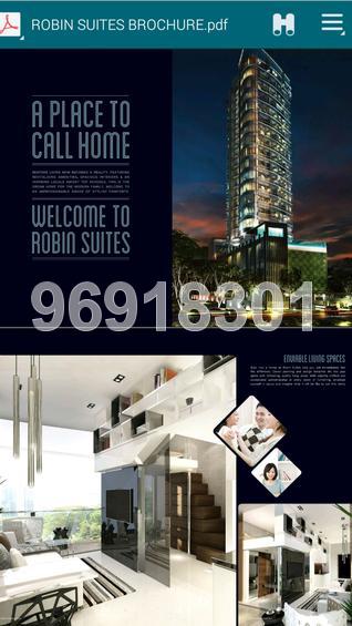 Robin Suites (D10), Apartment #86112722